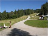 Forni di Sopra - Malga Varmost